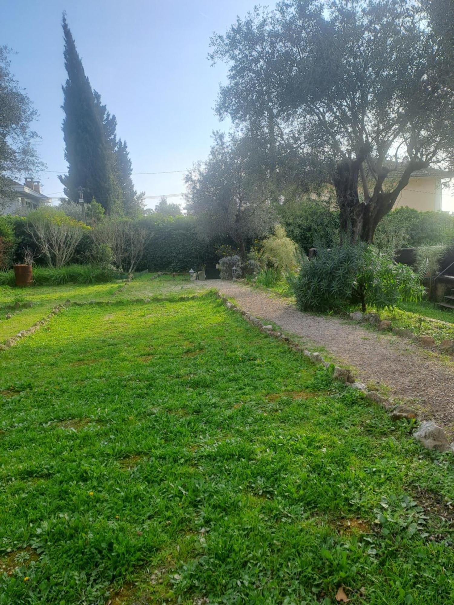 Maison Du Bonheur Calme Et Verdure Nice Eksteriør bilde